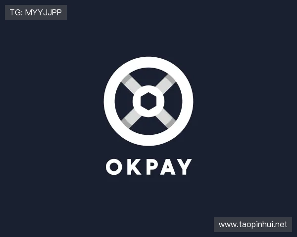 了解OKPAY钱包